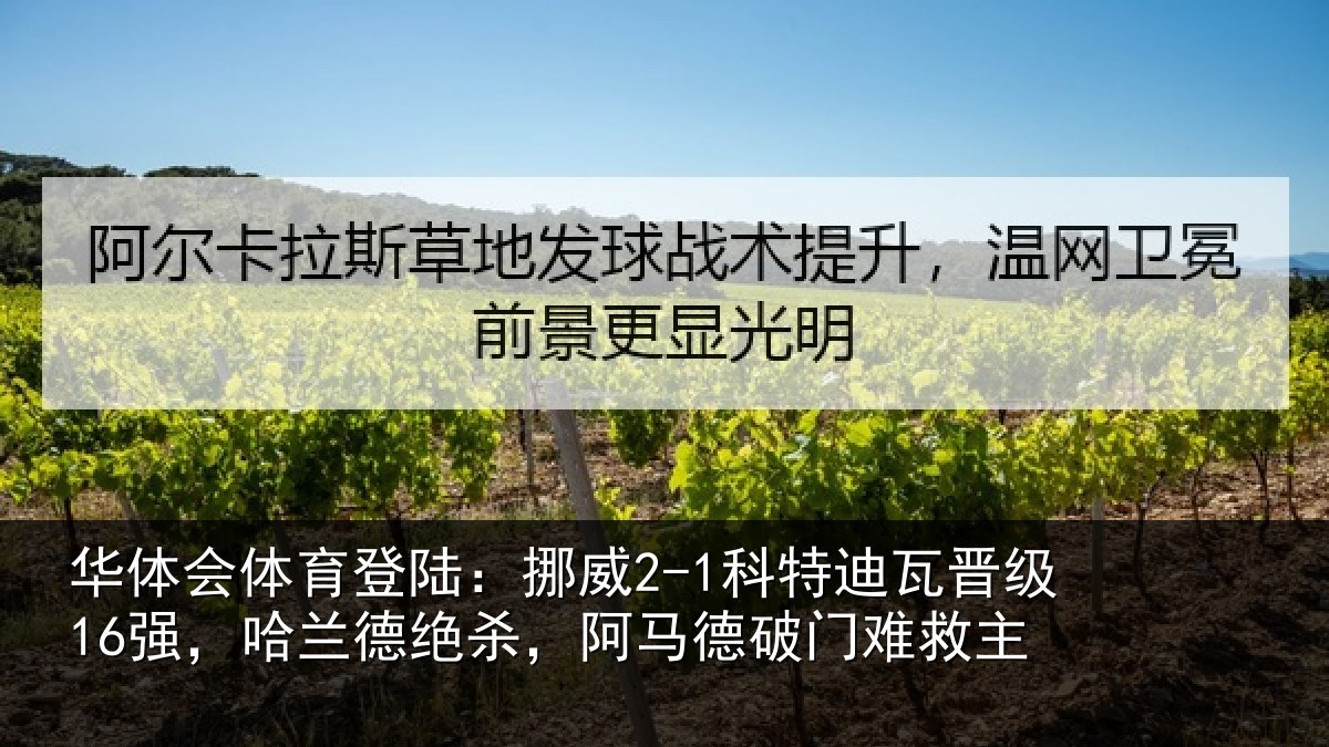 华体会体育登陆:挪威相关情况兰德相关情况救主