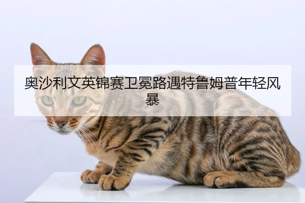 奥沙利文英锦赛卫冕路遇特鲁姆普年轻风暴